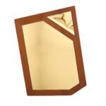 Angular Corner Award Plaque