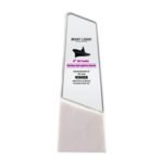 Angular Glass Trophy