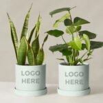 Logo Indoor Plant Pots