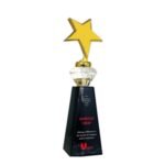 Star Trophy Award