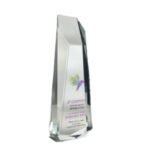 Tall Crystal Award