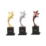 Curved Star Trophy Set